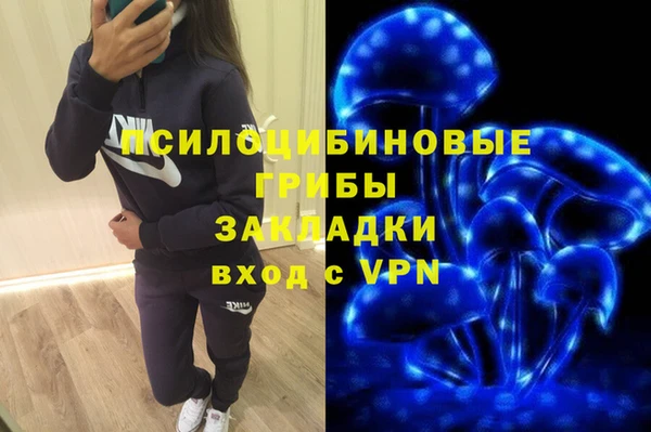 прущая мука Богданович